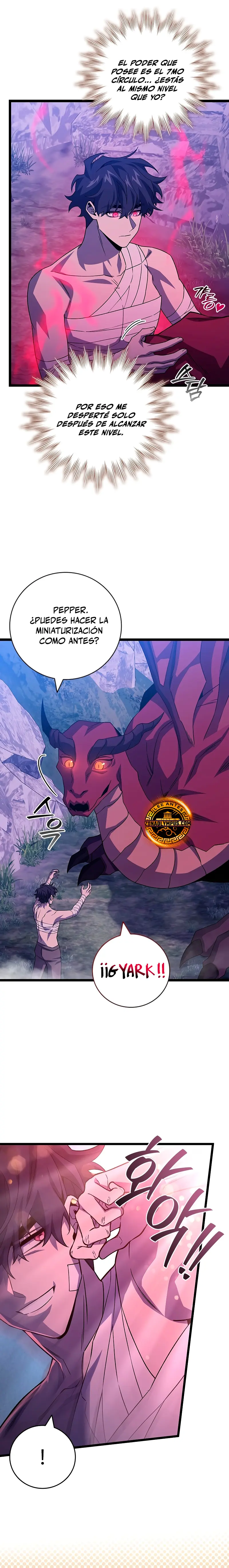 Mago devorador de dragones Capítulo 98 - Página 17 en español