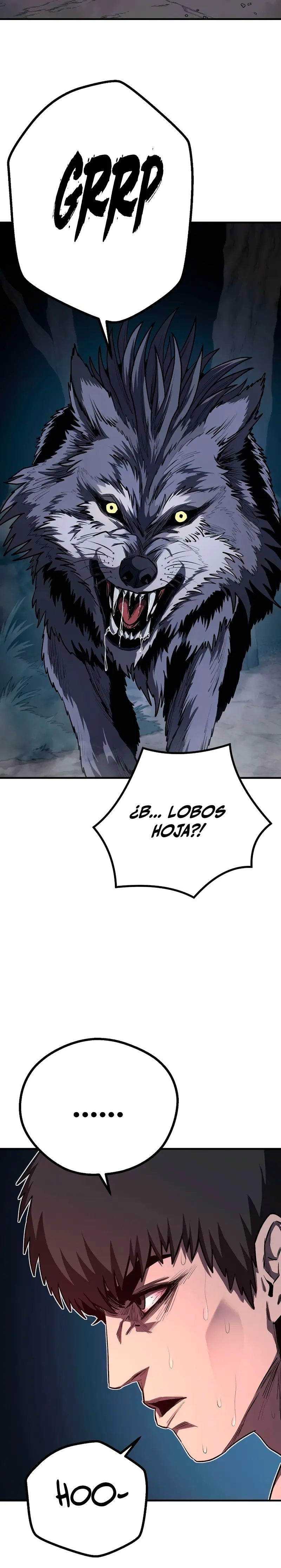 La segunda campaña del Berserker Capítulo 10 - Página 37 en español