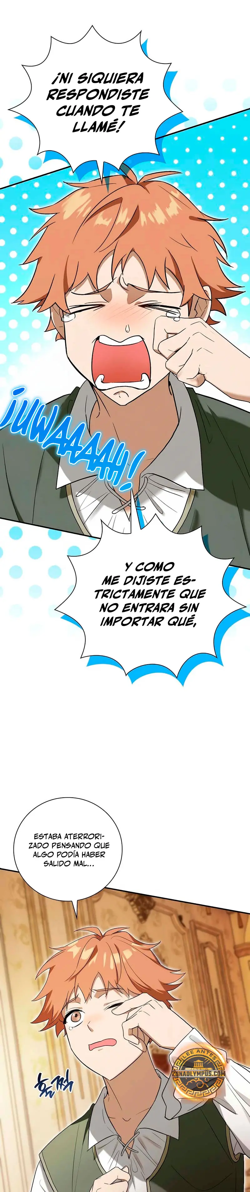 El Mercenario que Reencarno entre Aristócratas Capítulo 5 - Página 5 en español