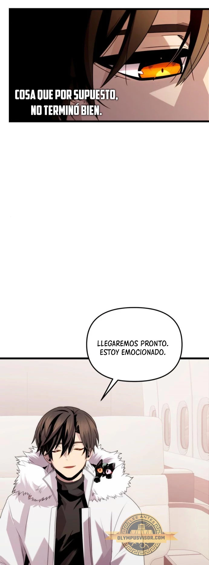 Obtuve un Objeto Mítico Capítulo 84 - Página 17 en español