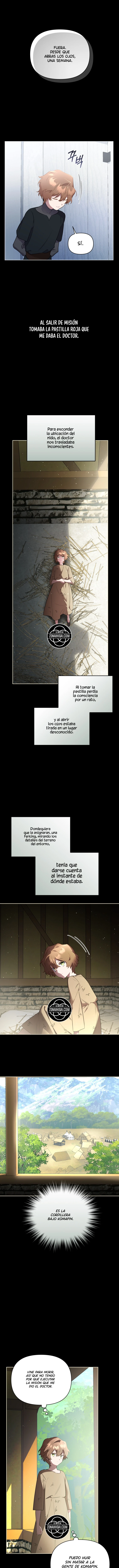 No Te Preocupes, Ambos Estuvimos De Acuerdo Con Este Matrimonio Fraudulento Capítulo 73 - Página 14 en español