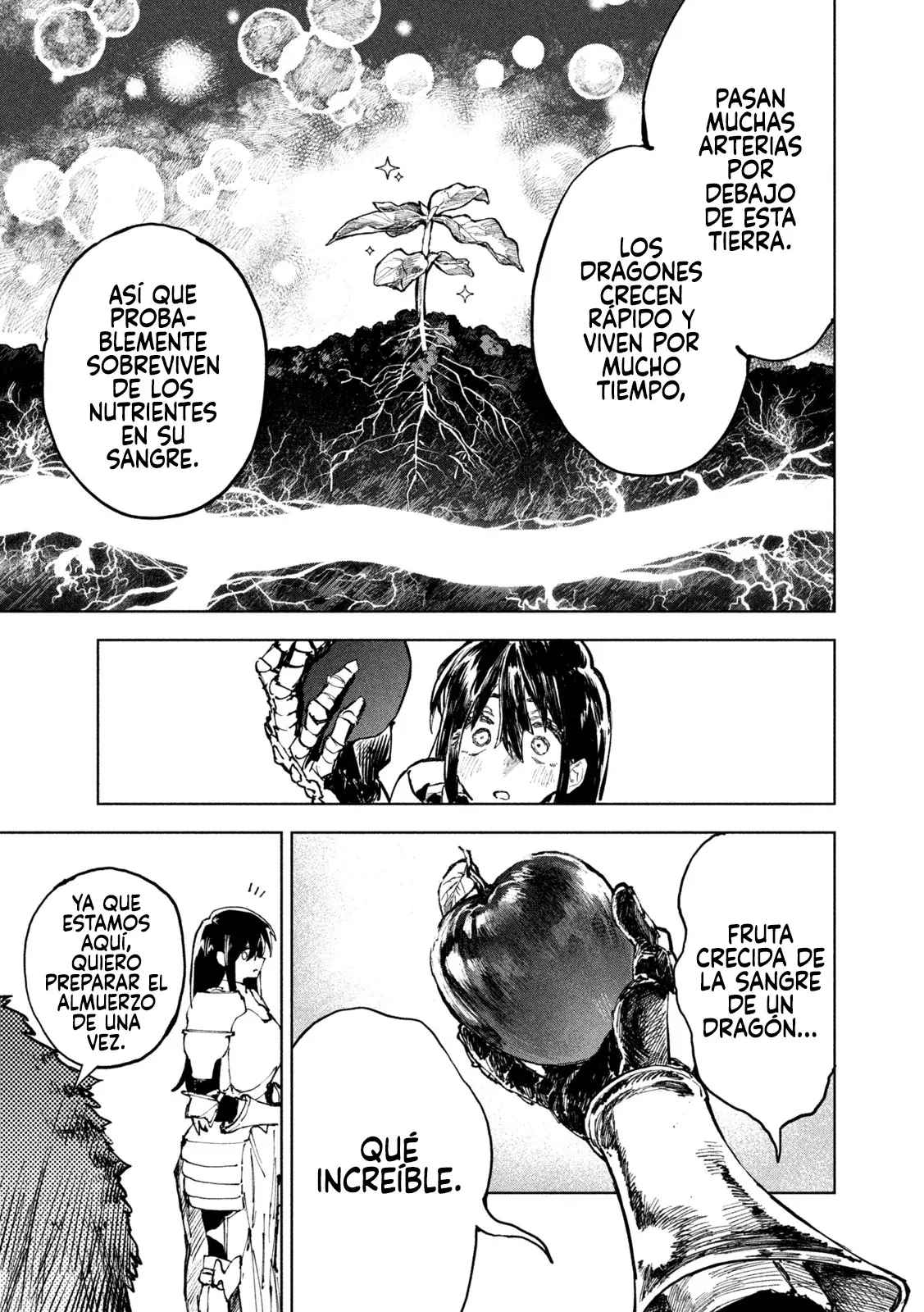 Dragon no I de Oyasumi Capítulo 2 - Página 14 en español