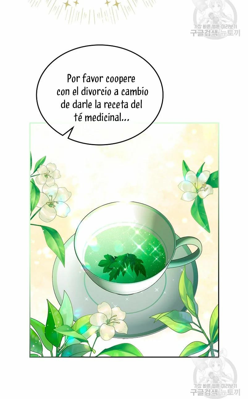 Me Divorciaré Del Hermano Siscon De La Protagonista Femenina Capítulo 14 - Página 17 en español