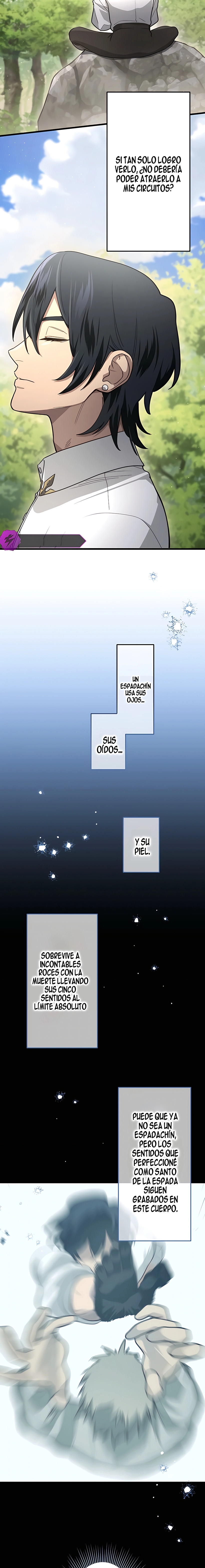 El Santo de la Espada que soñaba con magia Capítulo 3 - Página 15 en español