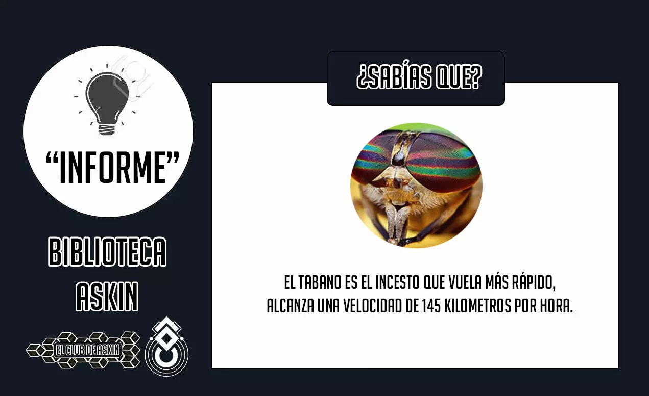 Tougen Anki Capítulo 11 - Página 23 en español