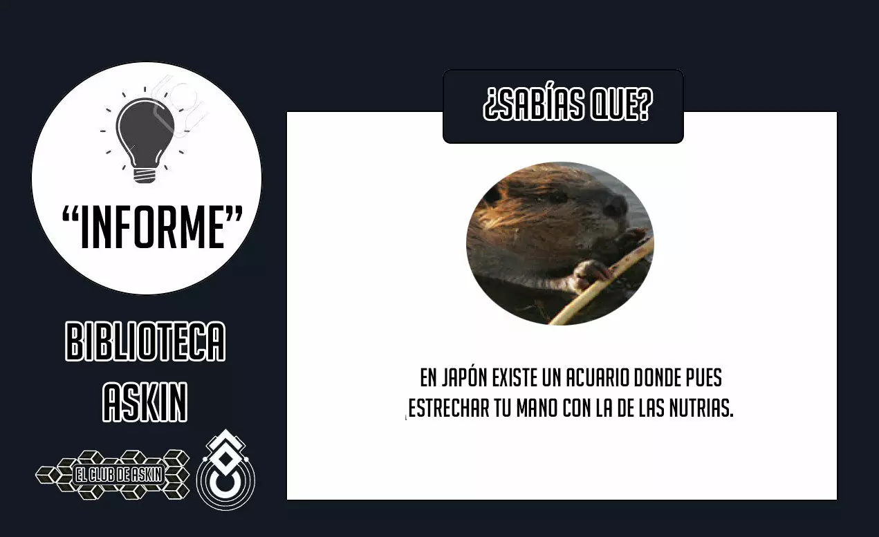 Tougen Anki Capítulo 20 - Página 22 en español