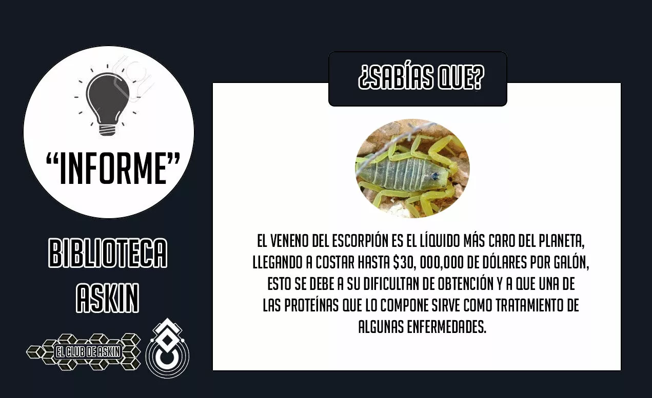 Tougen Anki Capítulo 28 - Página 25 en español