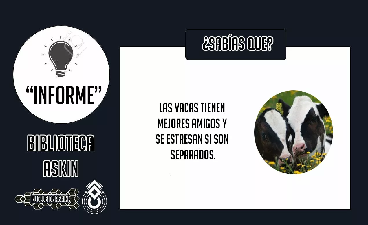 Tougen Anki Capítulo 36 - Página 23 en español
