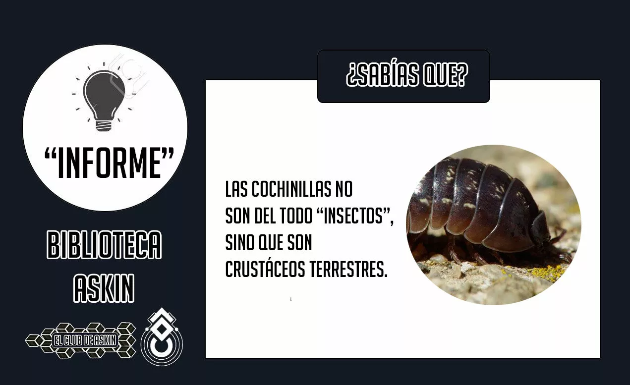 Tougen Anki Capítulo 37 - Página 24 en español