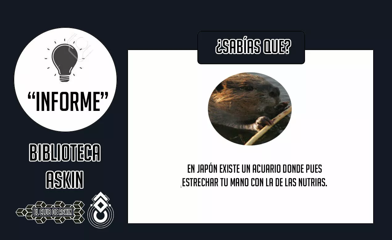 Tougen Anki Capítulo 41 - Página 22 en español