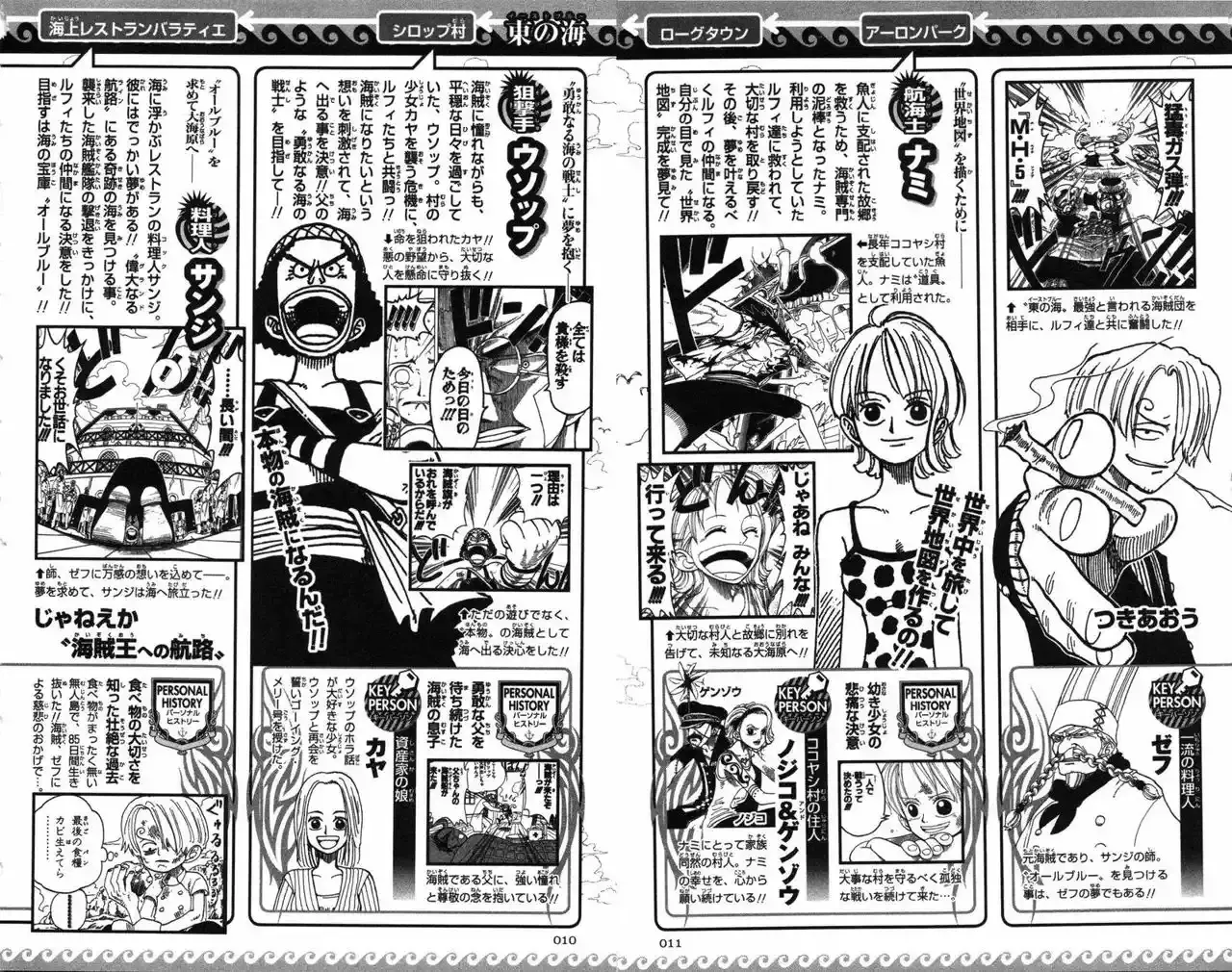 One Piece Capítulo 0 - Página 8 en español