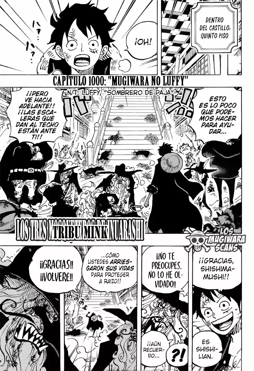 One Piece Capítulo 1000.5 - Página 3 en español