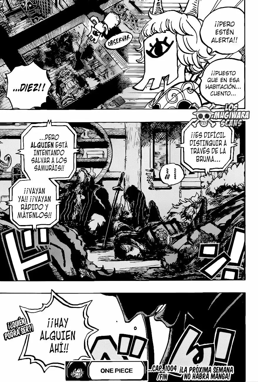 One Piece Capítulo 1004.5 - Página 17 en español