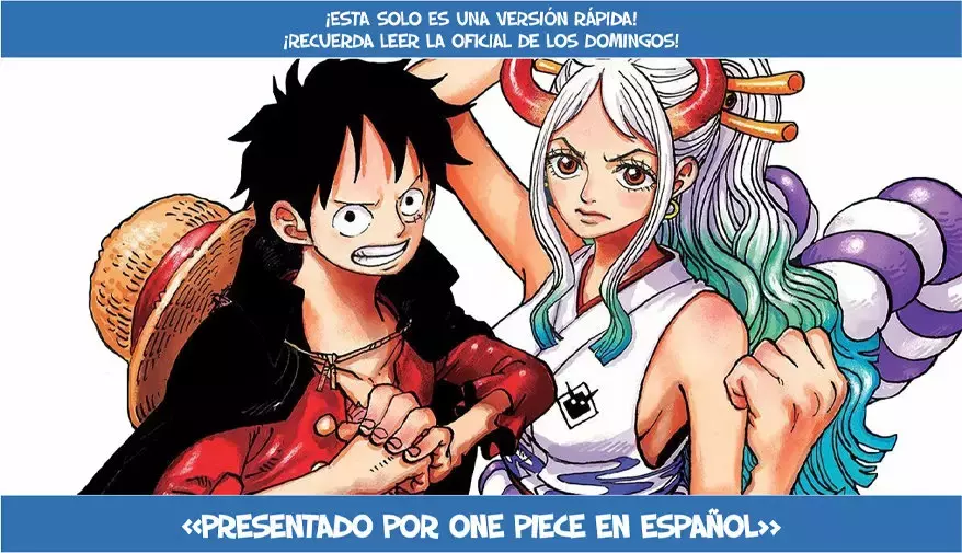 One Piece Capítulo 1004 - Página 17 en español