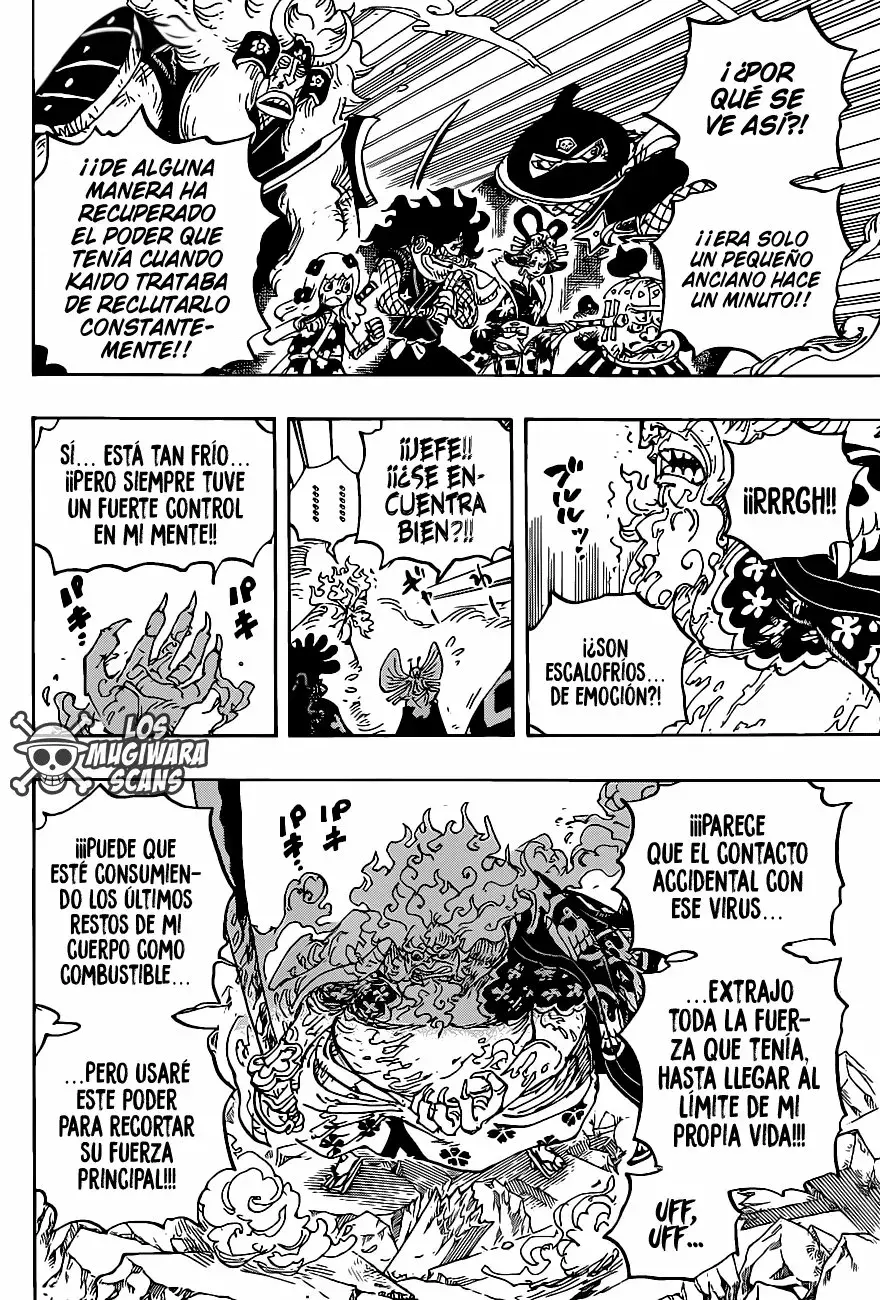 One Piece Capítulo 1006.5 - Página 11 en español