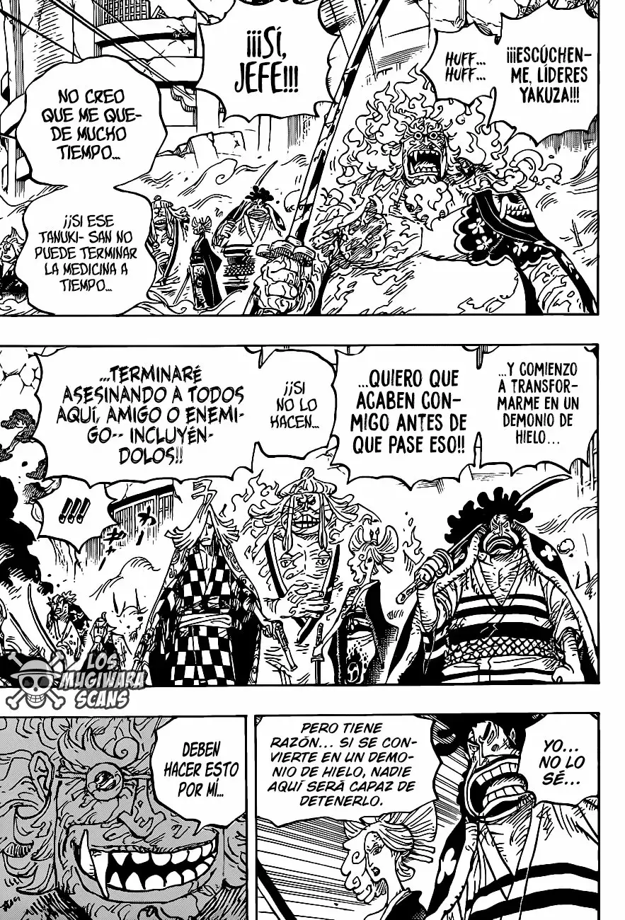 One Piece Capítulo 1006.5 - Página 12 en español