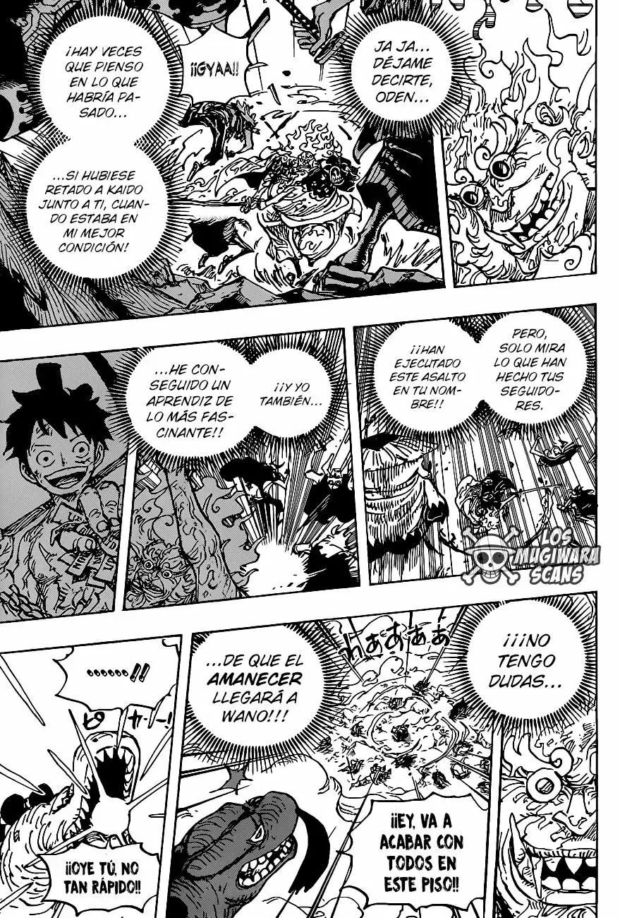 One Piece Capítulo 1006.5 - Página 14 en español