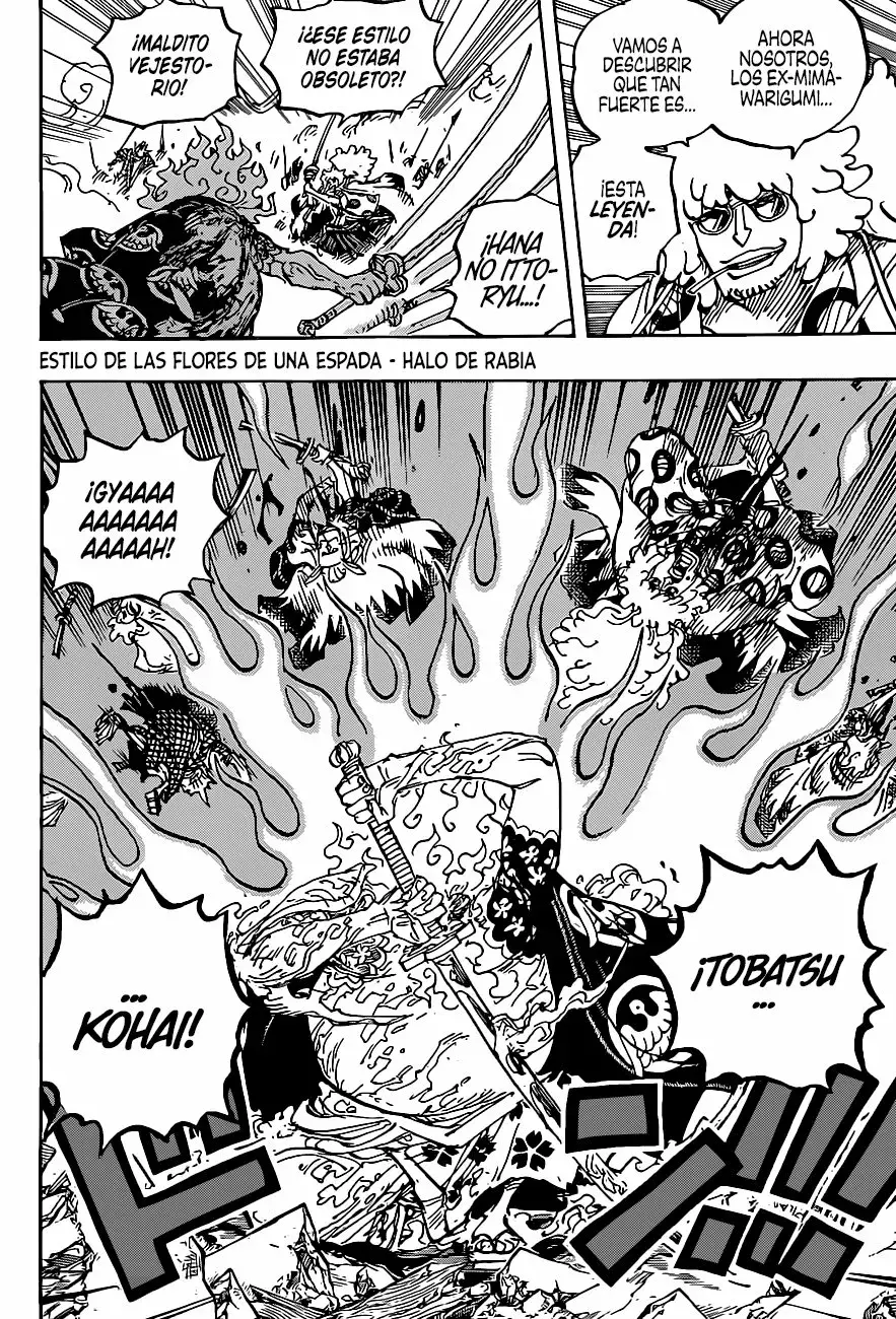 One Piece Capítulo 1006 - Página 10 en español