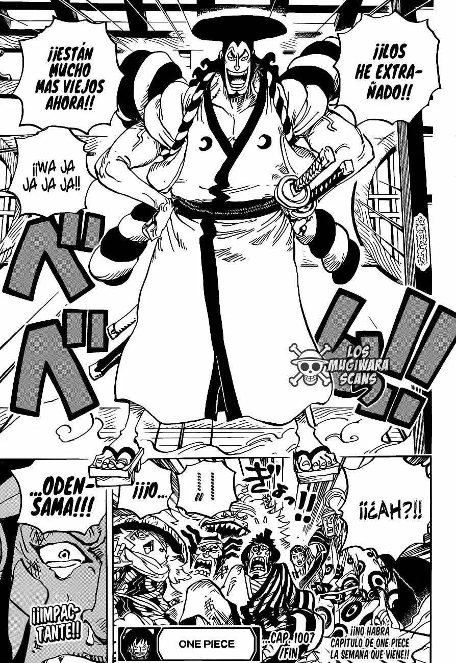 One Piece Capítulo 1007.5 - Página 17 en español
