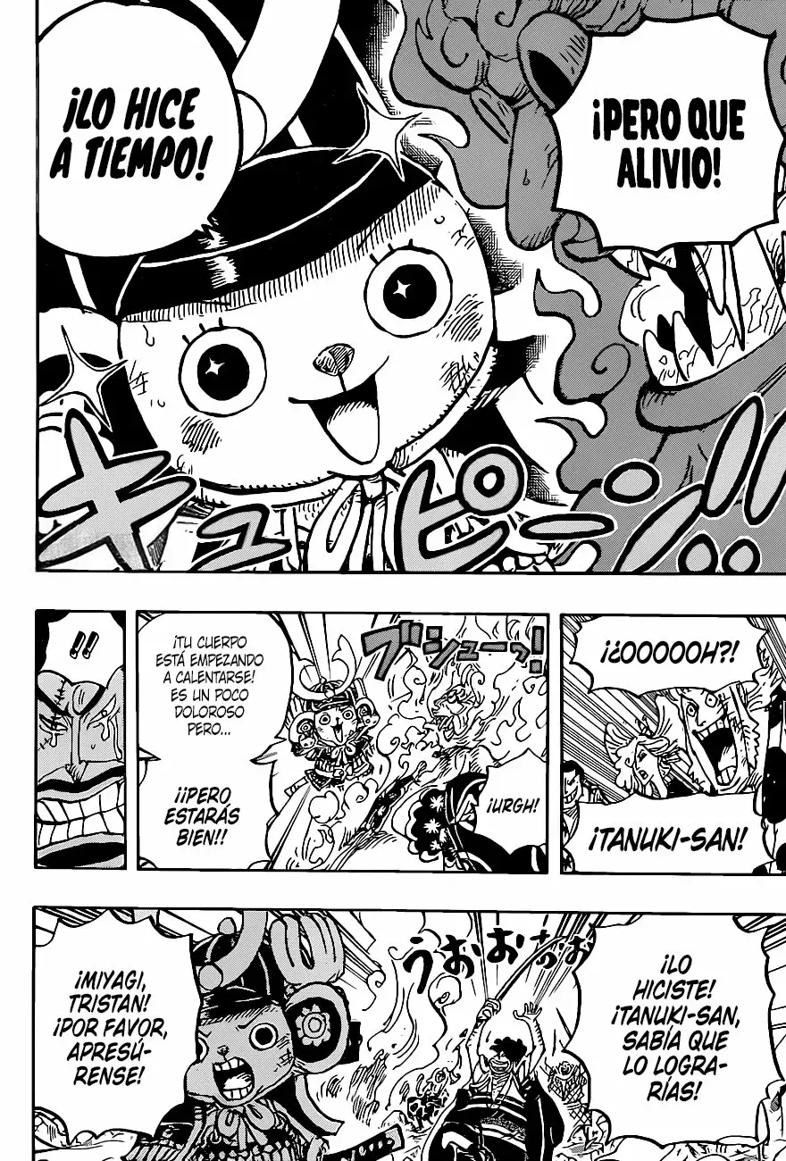 One Piece Capítulo 1007 - Página 8 en español