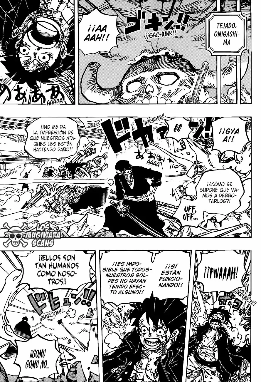 One Piece Capítulo 1008.5 - Página 17 en español