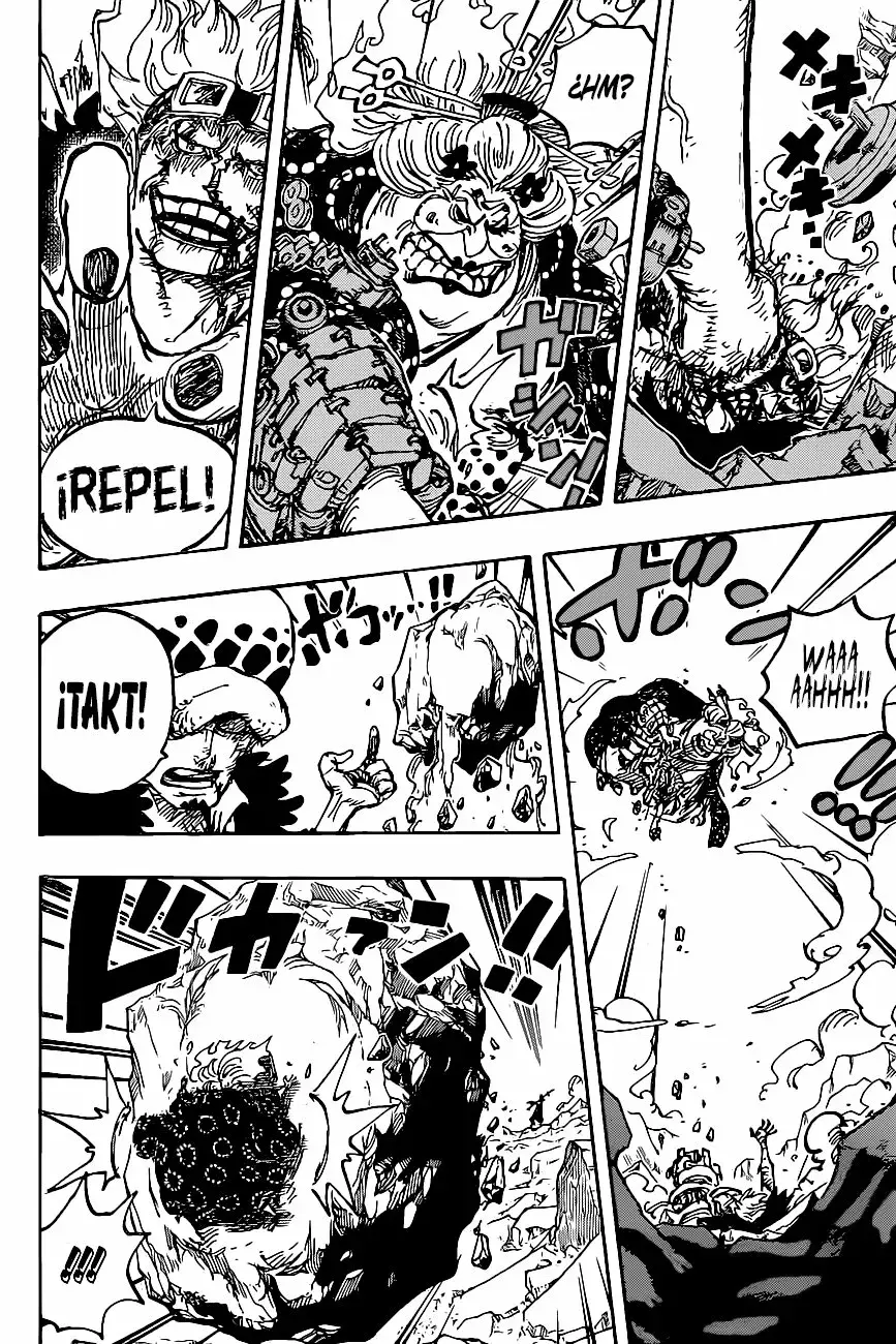 One Piece Capítulo 1009 - Página 14 en español