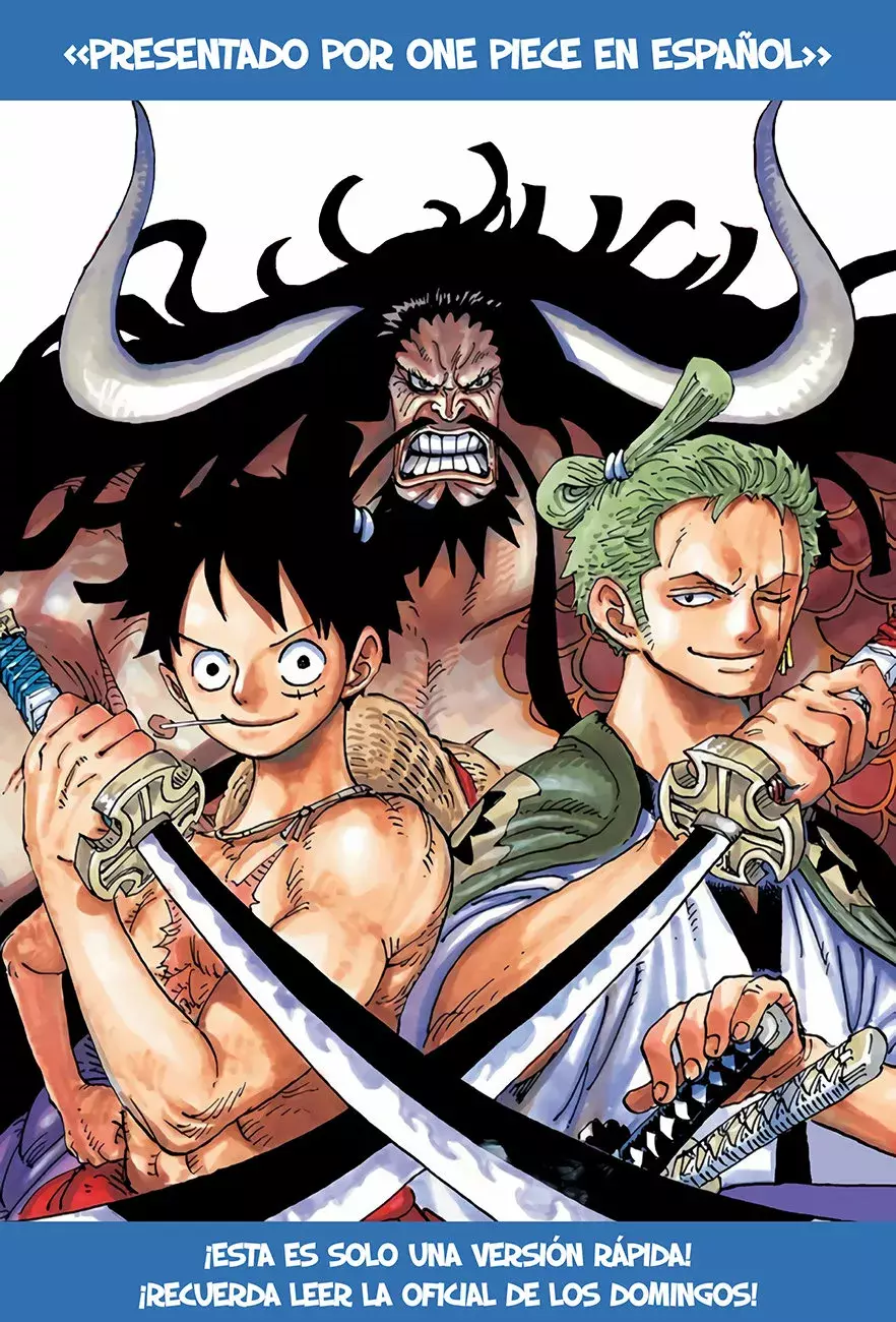 One Piece Capítulo 1009 - Página 16 en español