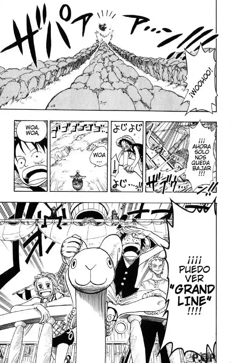 One Piece Capítulo 101 - Página 18 en español
