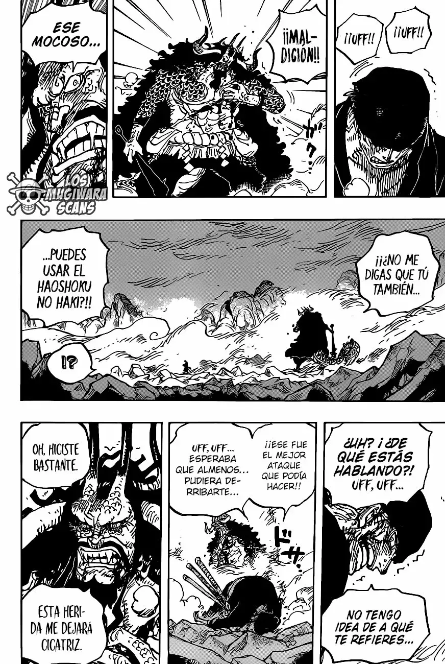 One Piece Capítulo 1010.5 - Página 10 en español