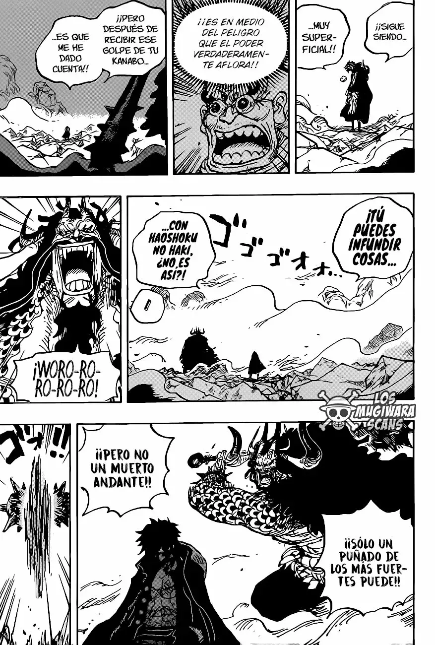 One Piece Capítulo 1010.5 - Página 13 en español