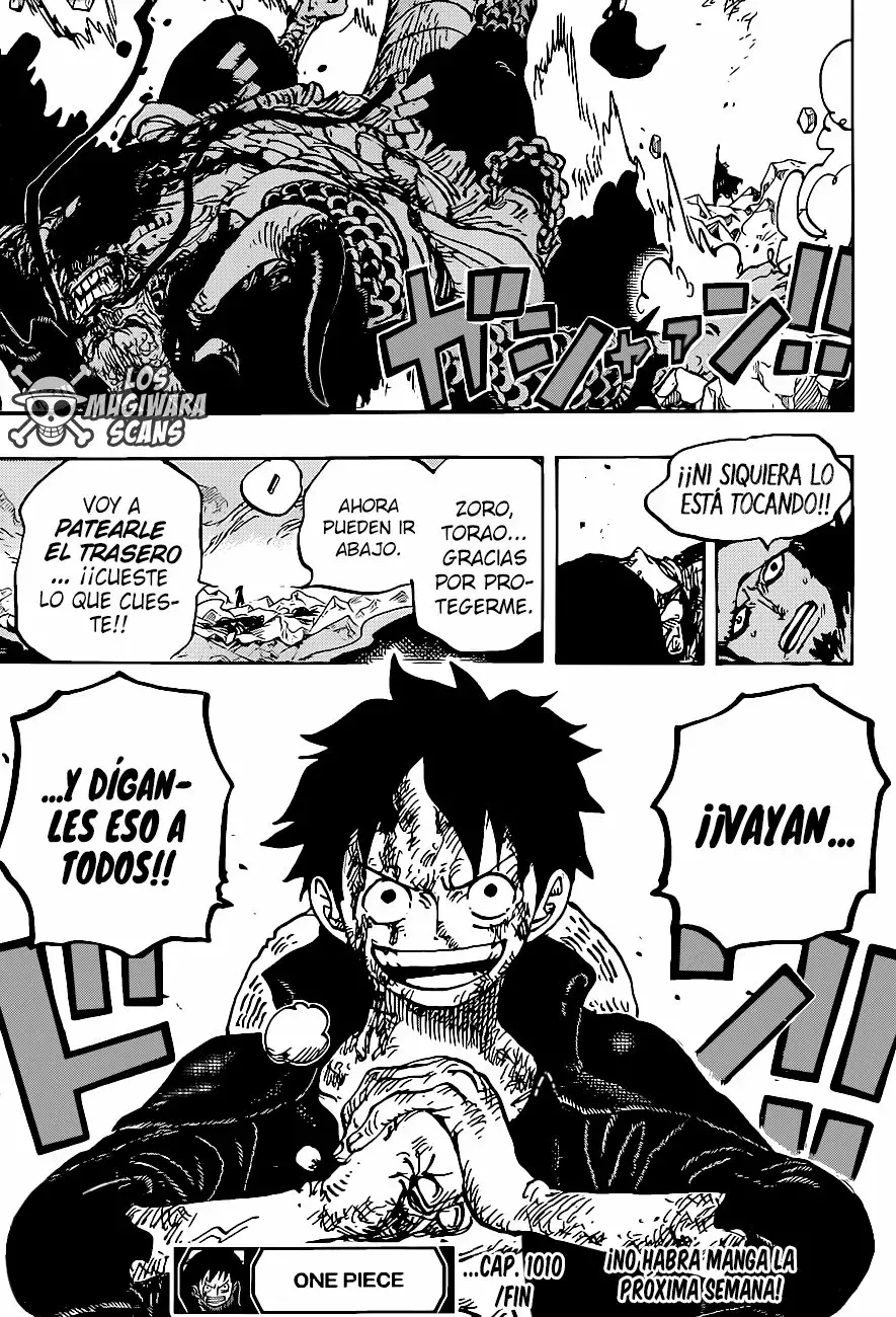 One Piece Capítulo 1010.5 - Página 17 en español