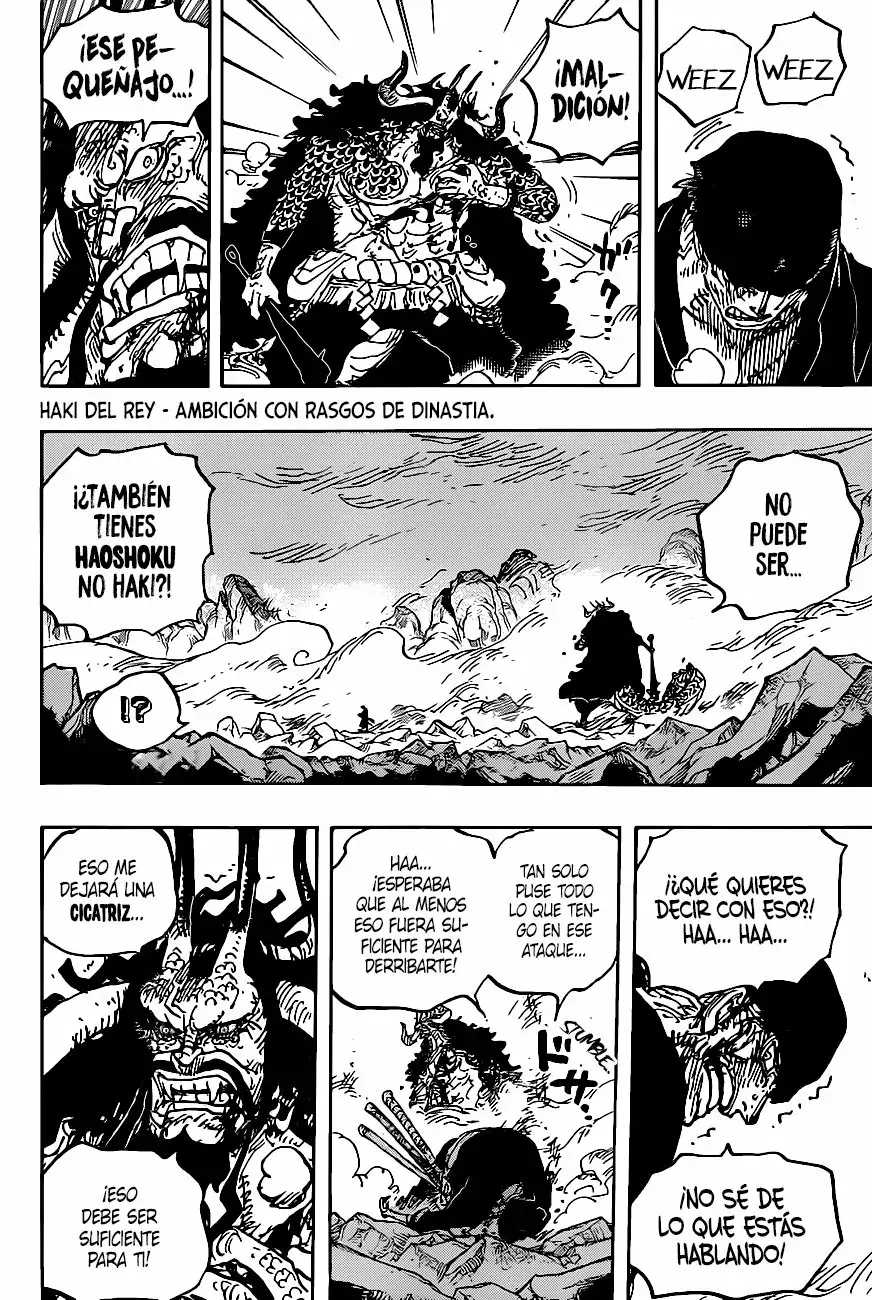 One Piece Capítulo 1010 - Página 10 en español