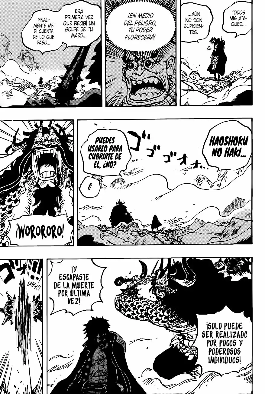 One Piece Capítulo 1010 - Página 13 en español