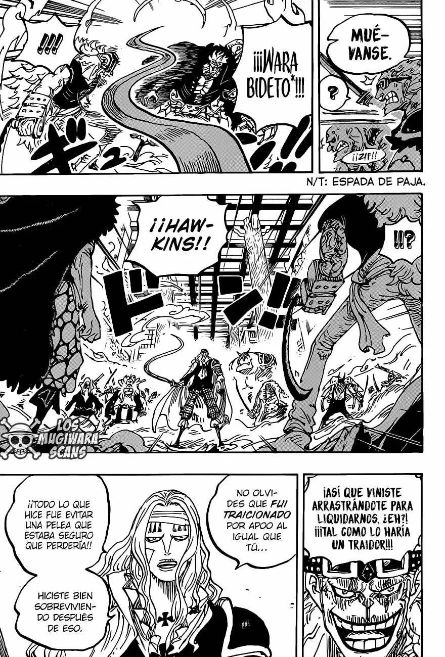 One Piece Capítulo 1011.5 - Página 10 en español
