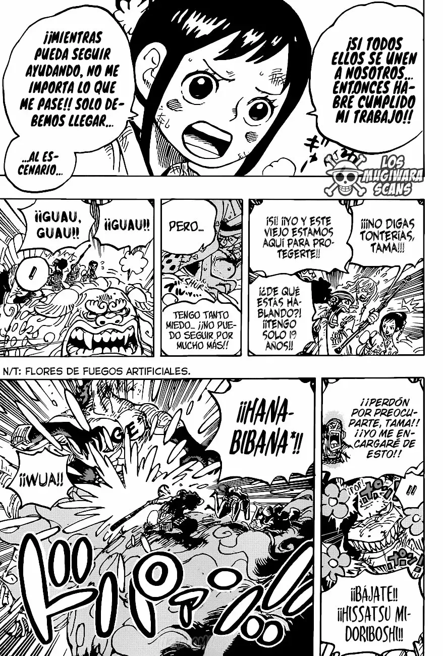 One Piece Capítulo 1011.5 - Página 14 en español
