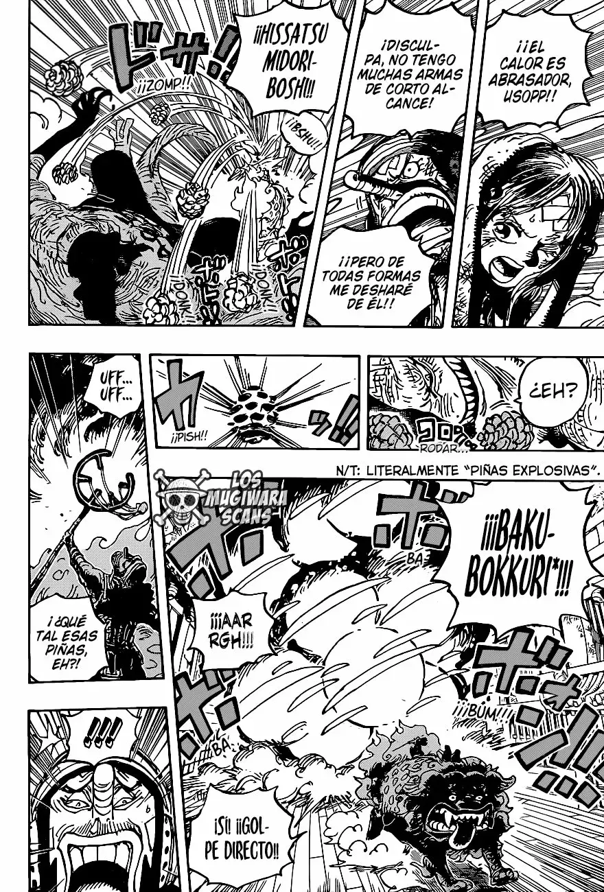 One Piece Capítulo 1011.5 - Página 15 en español