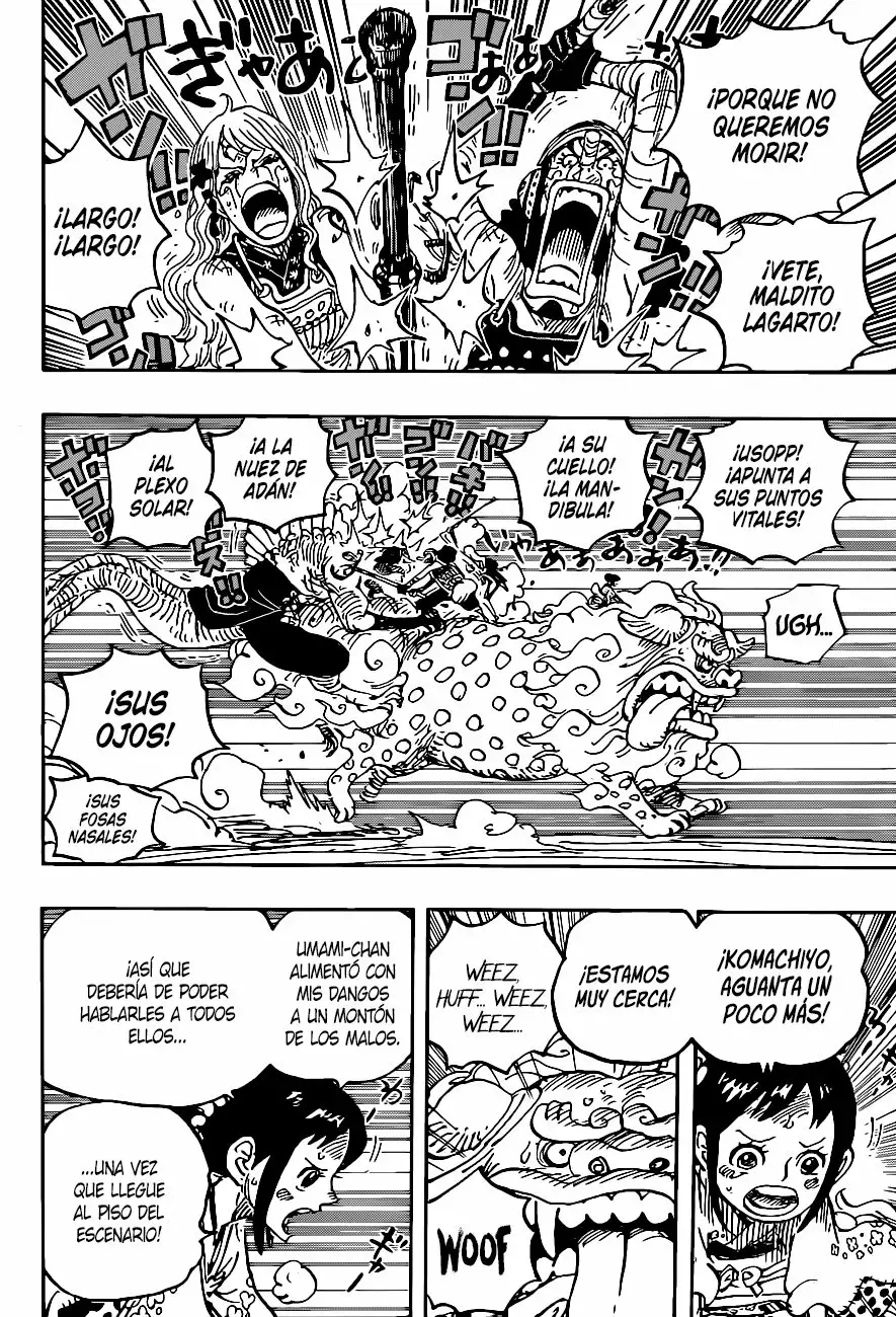 One Piece Capítulo 1011 - Página 14 en español