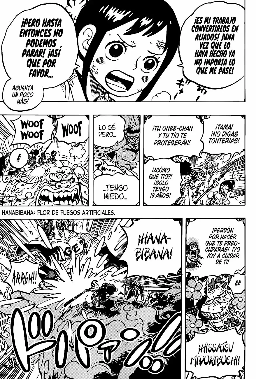 One Piece Capítulo 1011 - Página 15 en español