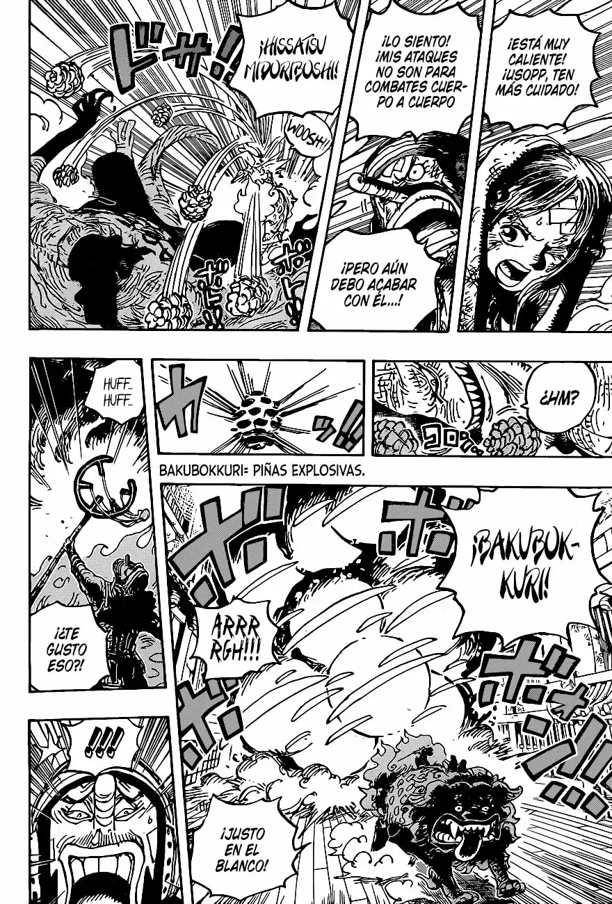 One Piece Capítulo 1011 - Página 16 en español