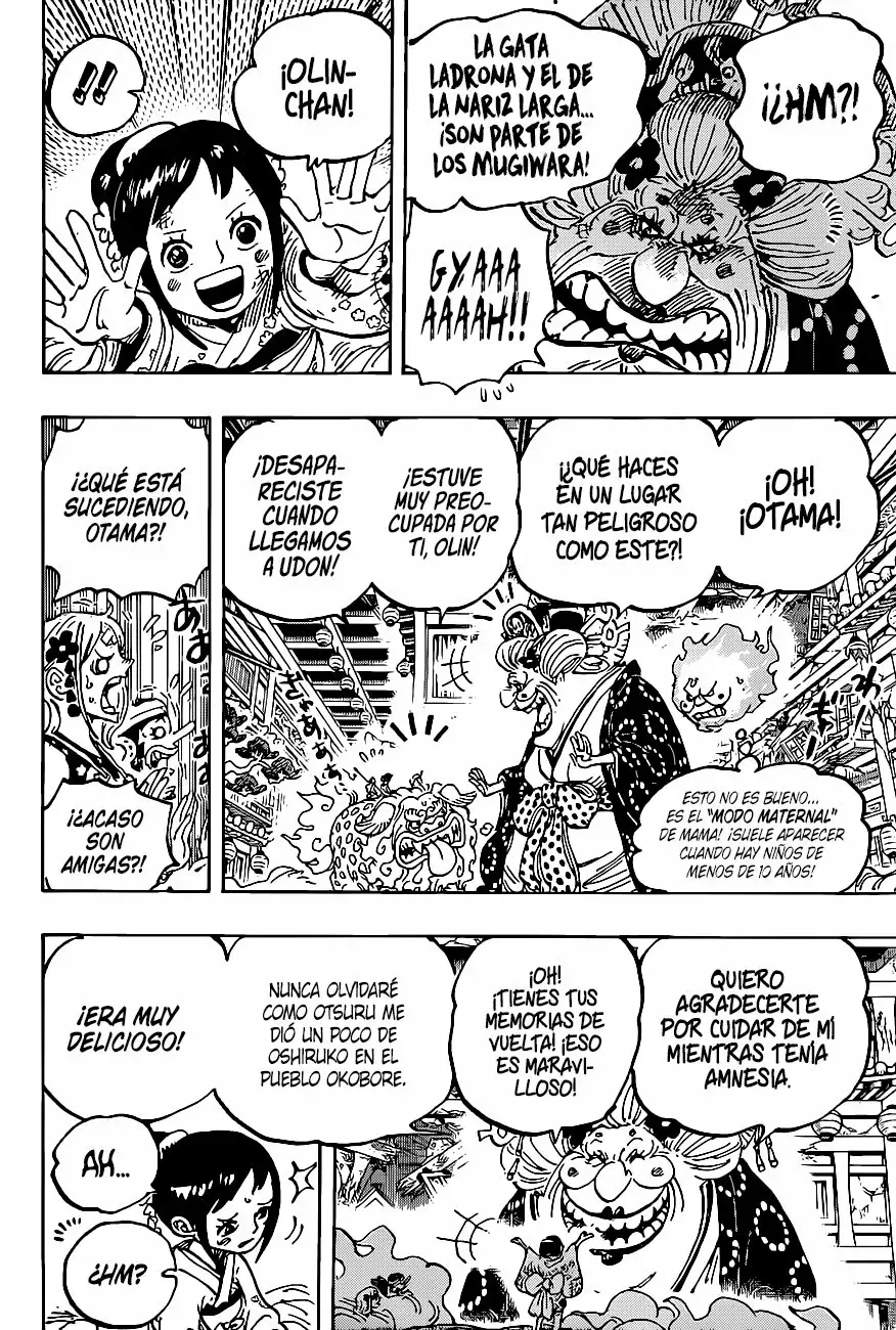 One Piece Capítulo 1011 - Página 18 en español