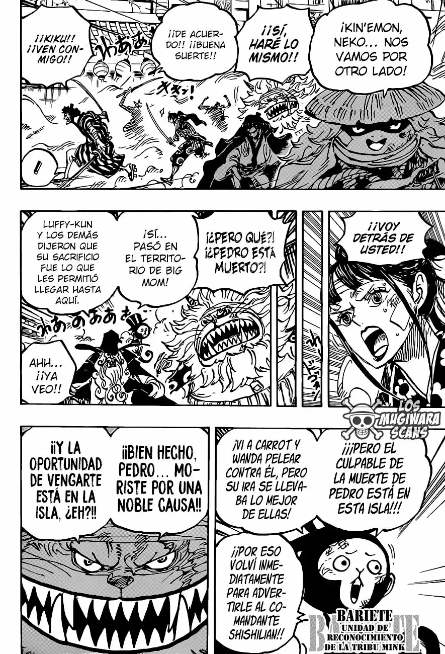 One Piece Capítulo 1012.5 - Página 5 en español