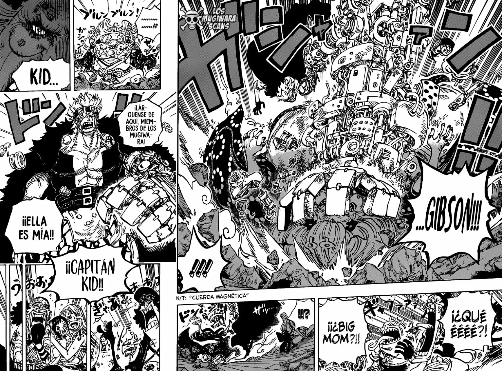 One Piece Capítulo 1013.5 - Página 14 en español