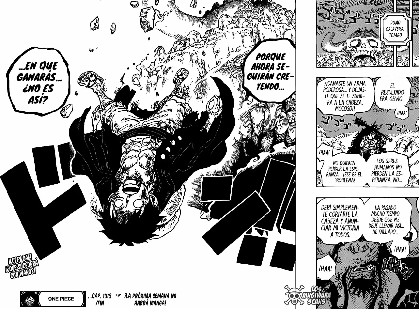 One Piece Capítulo 1013.5 - Página 15 en español