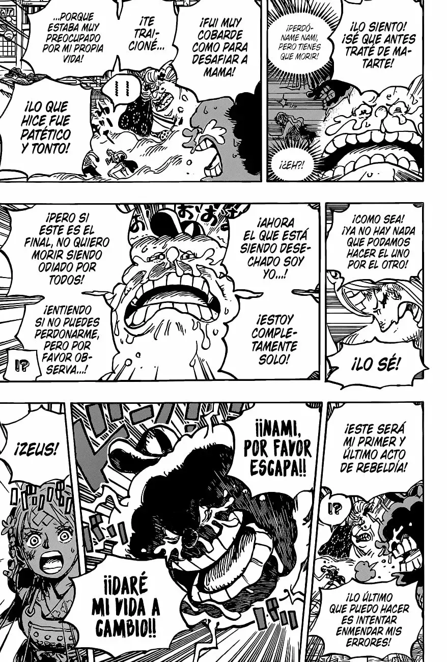 One Piece Capítulo 1013 - Página 11 en español