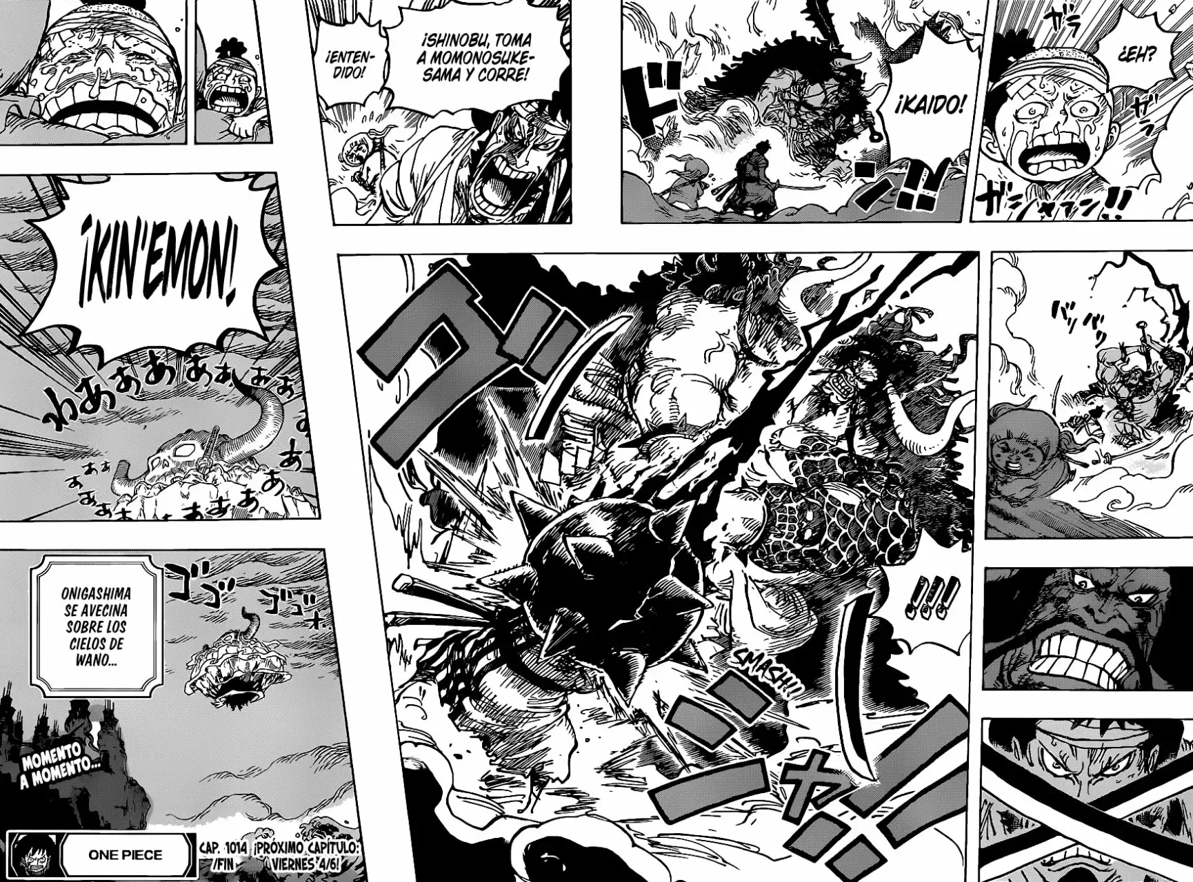One Piece Capítulo 1014 - Página 15 en español