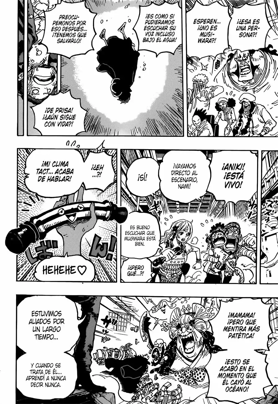 One Piece Capítulo 1015 - Página 15 en español