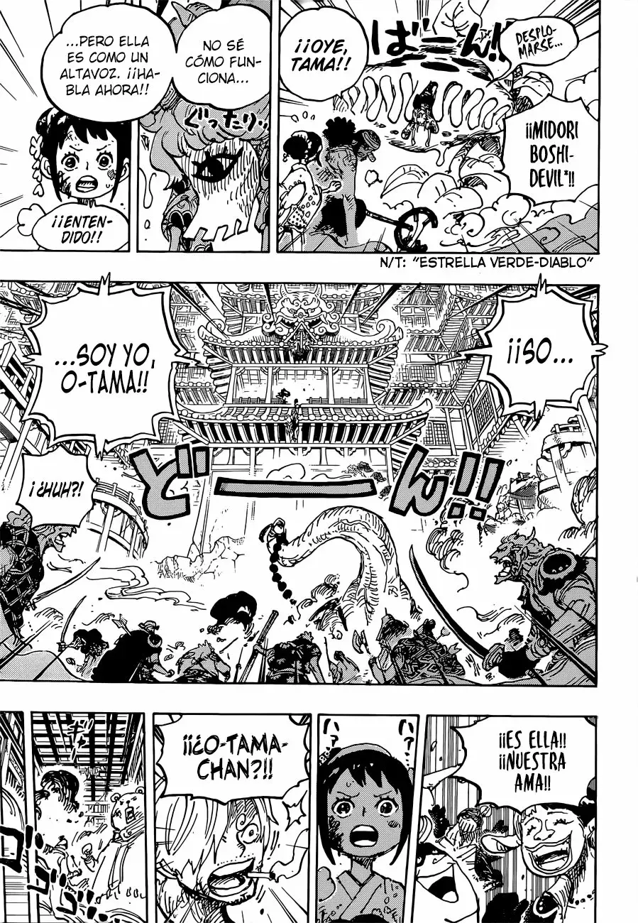 One Piece Capítulo 1016.5 - Página 13 en español