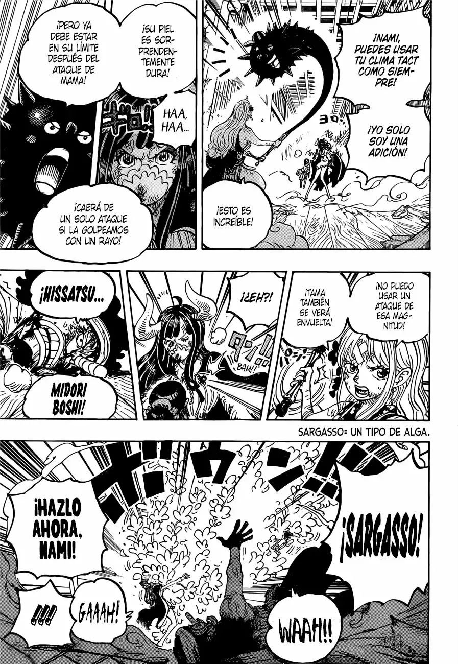 One Piece Capítulo 1016 - Página 9 en español