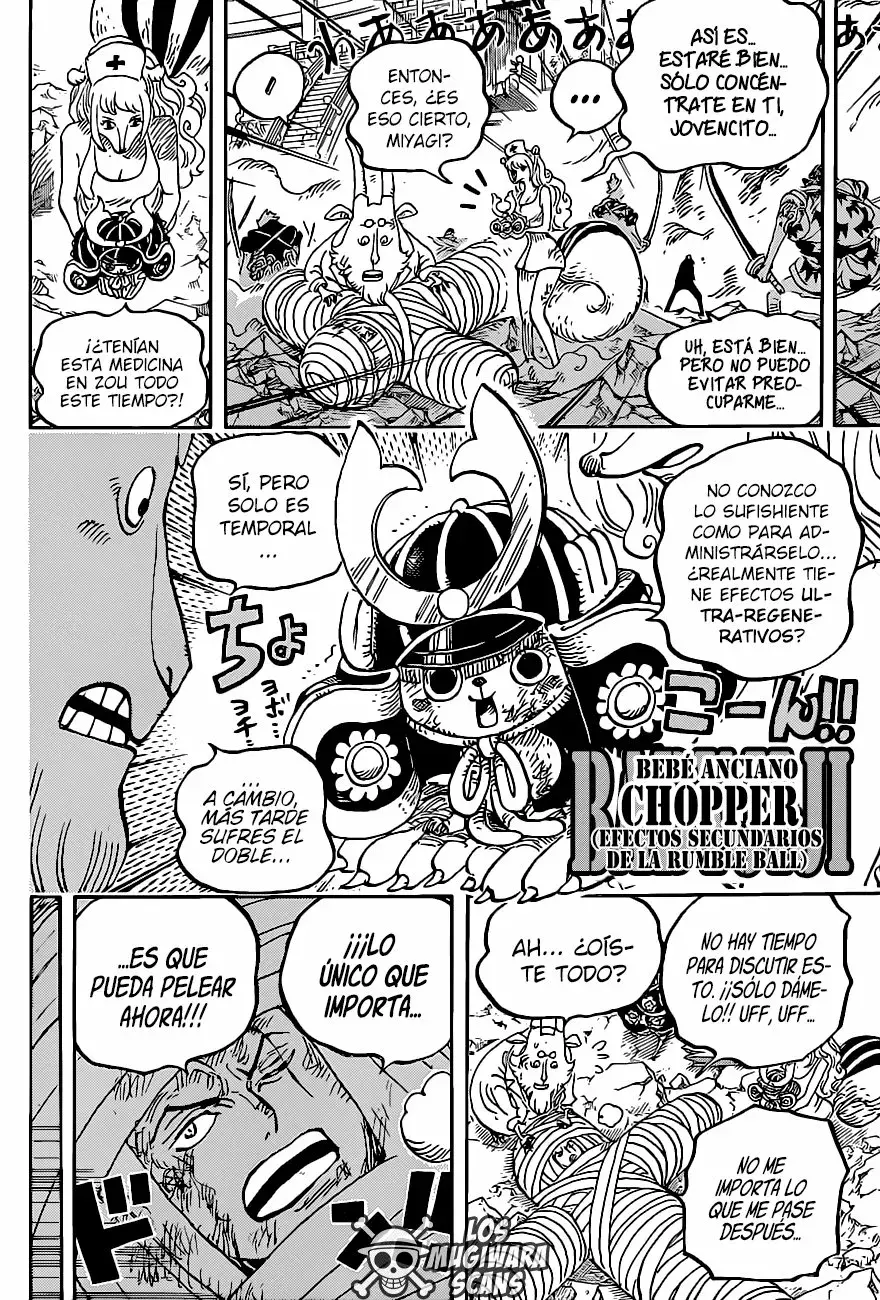 One Piece Capítulo 1017.5 - Página 13 en español
