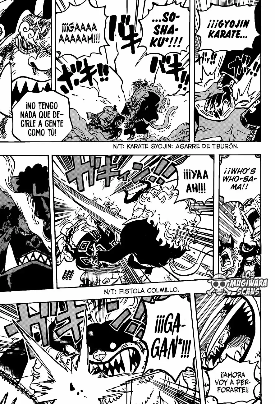 One Piece Capítulo 1018.5 - Página 16 en español